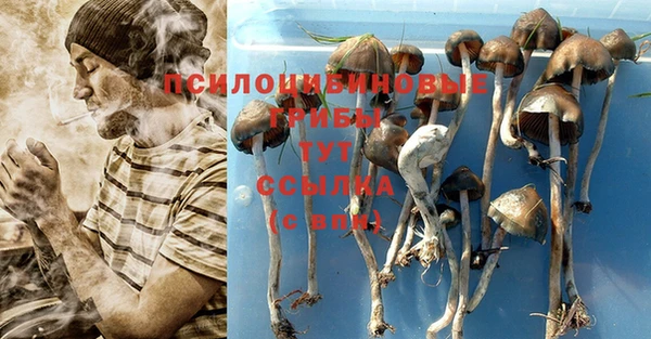 спиды Заводоуковск