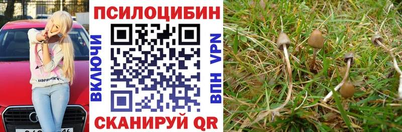Купить  Ефремов  Галлюциногенные грибы прущие грибы 